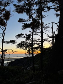 IMG-20230404-WA0006
